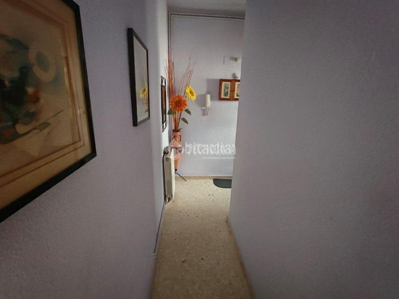 Foto d51a13ea-5bba-4139-b253-9535e2e407c8. Pis a Mengíbar