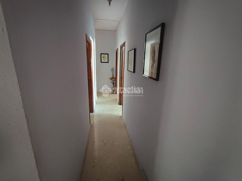 Foto fe2c228f-3622-4a0a-a6b4-a5681e9c459c. Pis a Mengíbar