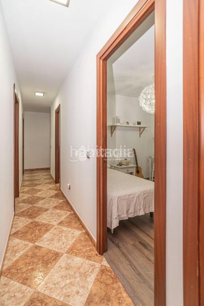 Foto 59676222-5630-4229-9a48-a645a7f2926d. Pis a Arrayanes Linares