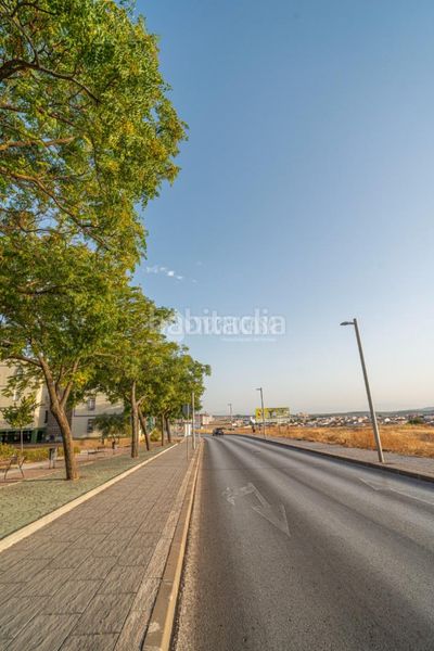 Foto 9350c29c-2f66-47d0-8a3c-0082f47d4047. Pis a Arrayanes Linares