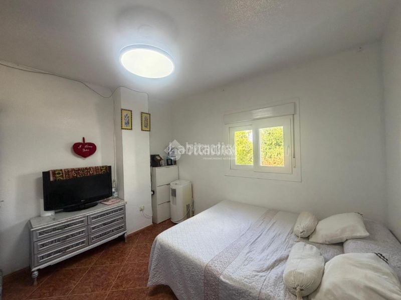 Foto 5c379e60-7e89-4bfe-b6fc-c0b935488420. Pis a Mengíbar