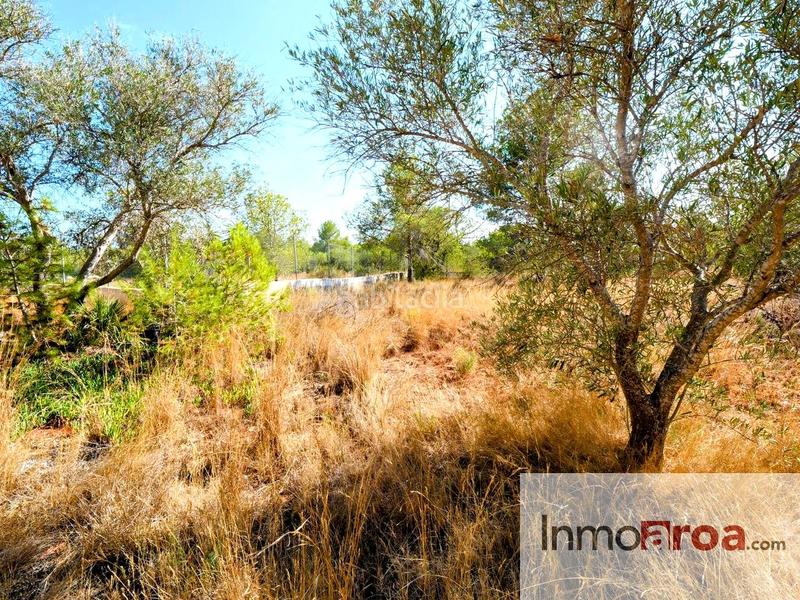 Foto 72f986ae-dea5-4512-b29e-ad284761a671. Maison dans Los Pinares-La Masia Bétera