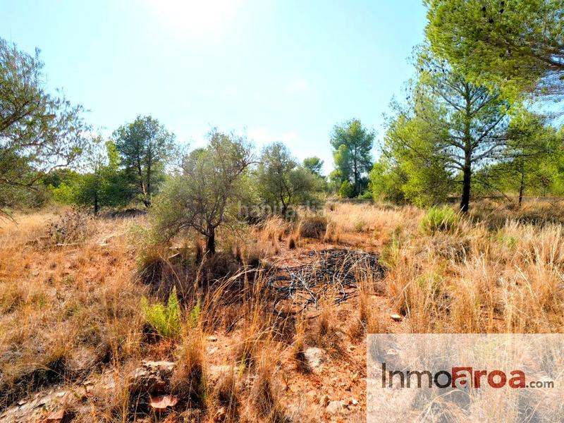 Foto 7a404912-5f7a-4861-961d-f15923b80930. Maison dans Los Pinares-La Masia Bétera