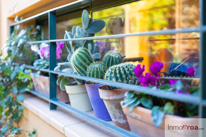 Foto 43711a4c-0b62-4ef0-987a-509332e48e36. Casa amb aparcament piscina a Navata