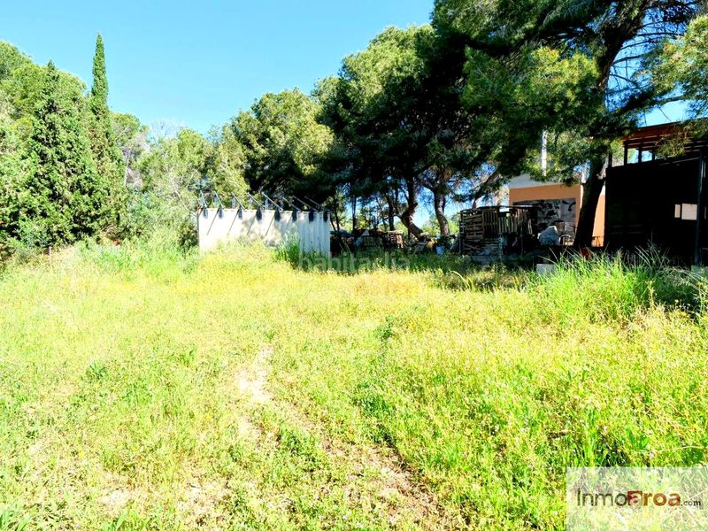 Foto a74b7de2-2210-45e5-9416-8efb214b133a. Finca rústica se vende parcela con agua!! en La Conarda-Montesano Bétera