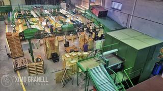 Miete Fabrikhalle in Nules. Alquiler de almacén de citricos en nules castellón
