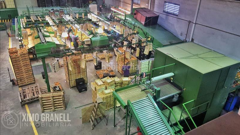 Foto 5140d71a-1275-4770-a600-b53b09bd3aab. Alquiler nave industrial alquiler de almacén de citricos castellón en Nules