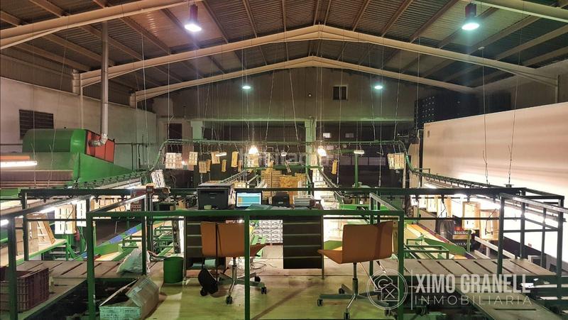 Foto 52095834-a521-43d9-8f76-ccd444470242. Alquiler nave industrial alquiler de almacén de citricos castellón en Nules