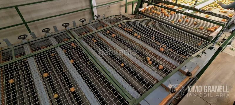 Foto f492abe1-6a5c-4e04-9e46-537a50eed316. Alquiler nave industrial alquiler de almacén de citricos castellón en Nules