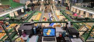 Lloguer Nau industrial a Nules. Alquiler de almacén de citricos en nules castellón