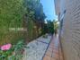Ampliar foto b03a9bc6-cf94-4981-a680-e866267bad09.jpg