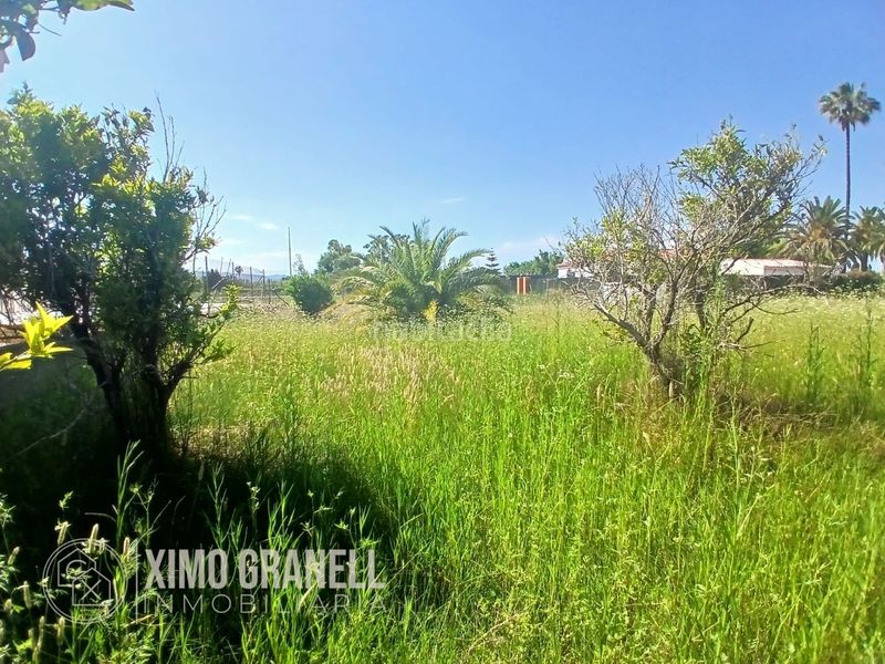 Foto 3154fa96-862c-477a-b03d-27cb833b717d. Terreny residencial a Nules