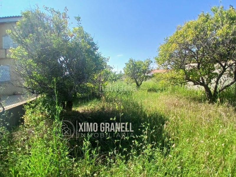 Foto 4de32392-7ac5-4f2d-990d-1fd258f489af. Terreny residencial a Nules