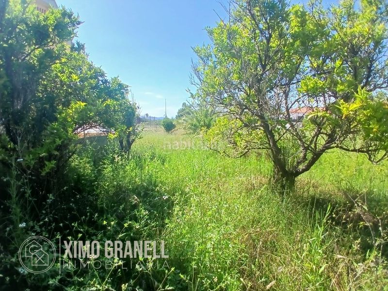 Foto 7eb67519-82e3-4722-8df2-c873c2a8123e. Terreny residencial a Nules