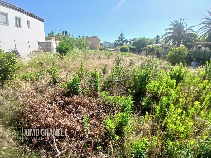Foto cdb76abb-b644-4c67-9d23-2c4e99db76b7. Terreny residencial a Nules