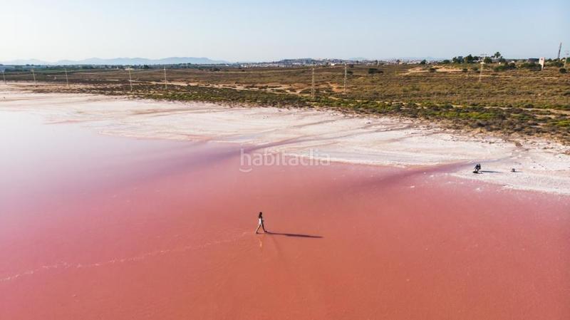 Foto ced2a2ea-1727-4e88-bceb-7f811e6ea533. Planta baixa amb piscina a Zona Playa del Cura Torrevieja