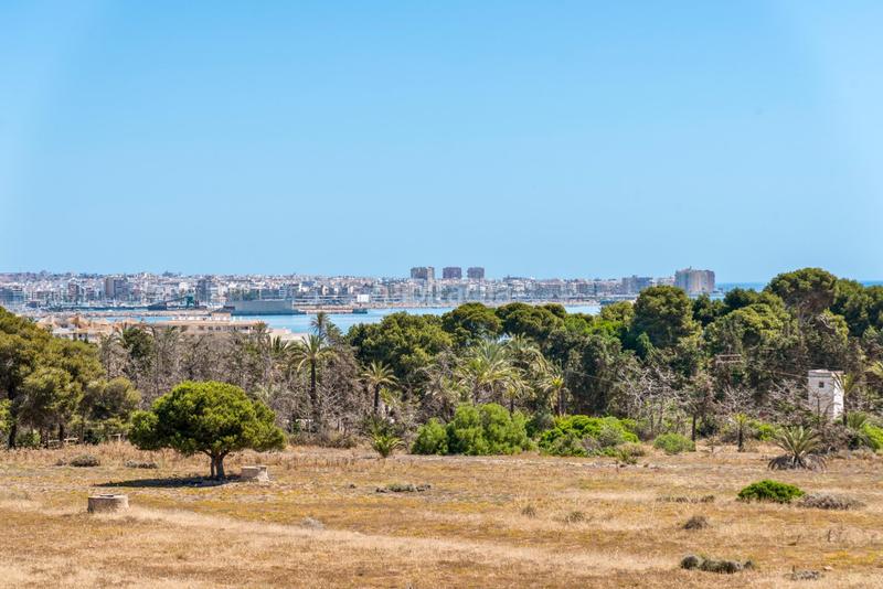 Foto 10c3ede3-5c40-46c0-b6c0-5a5590d19f14. Apartamento en Punta Prima Torrevieja
