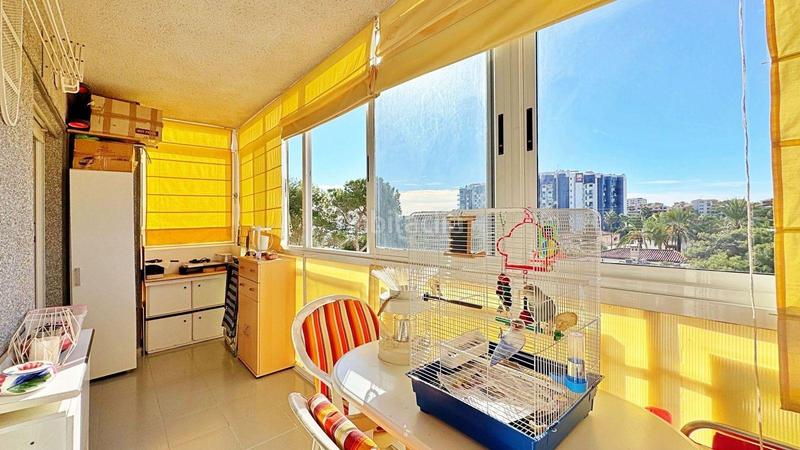 Foto 86629b22-c21b-42ea-a9cb-599b7bd93079. Apartment with pool in Punta Prima Torrevieja