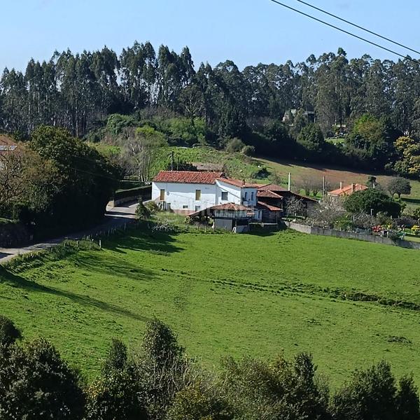 Foto 8fb48b80-52ce-4e5e-880f-333494f2f835. Terrain résidentiel dans Gijón - cm del truebanu 105 dans Gijón