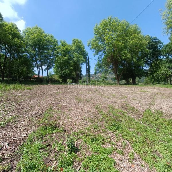 Foto 69e52282-fc98-4b5f-9c8d-5e68fc25c231. Wohngrundstück in careses - vega de poja in Parroquias Norte Siero