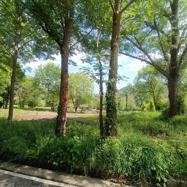 Foto 6e274627-8f41-48a1-810c-8ae2afd9e0cf. Wohngrundstück in careses - vega de poja in Parroquias Norte Siero