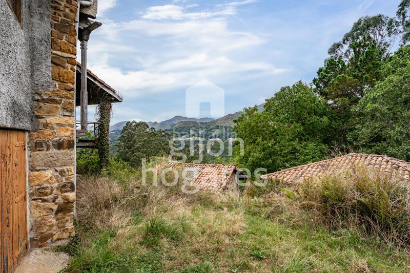 Foto 5b2d6c31-98d5-4b7c-a328-72423d61dd03. Haus in abedul - lg les melendreres 4 in Piloña