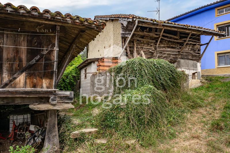 Foto ac64821e-27c1-4bcb-9b5d-b8563f6d0f49. Haus in abedul - lg les melendreres 4 in Piloña