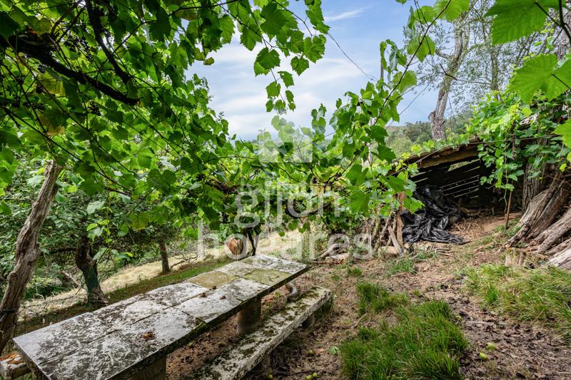 Foto e6f004c9-5b84-48a2-b519-3886b261eaaa. Haus in abedul - lg les melendreres 4 in Piloña