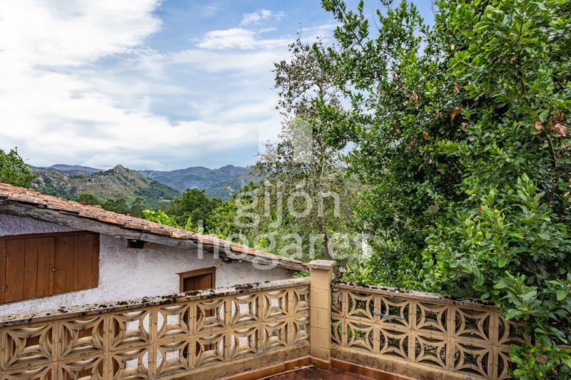 Foto fda95a43-e495-4345-804a-0b6c1a4d0209. Haus in abedul - lg les melendreres 4 in Piloña