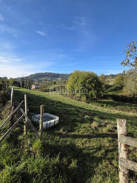 Foto a16f79c2-4e97-470f-999e-f9dad8fd92a0. Residential plot in Siero - bregao in Parroquias Norte Siero