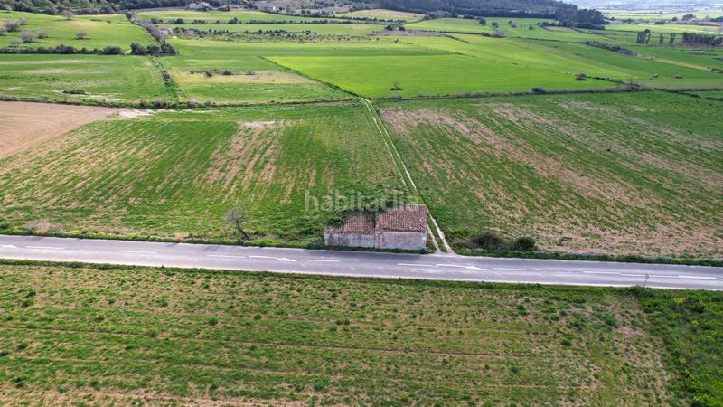 Foto b4f4d066-83b0-4fb1-ade0-5a59ce9335cc. Finca rústica terreno rústico en Algaida