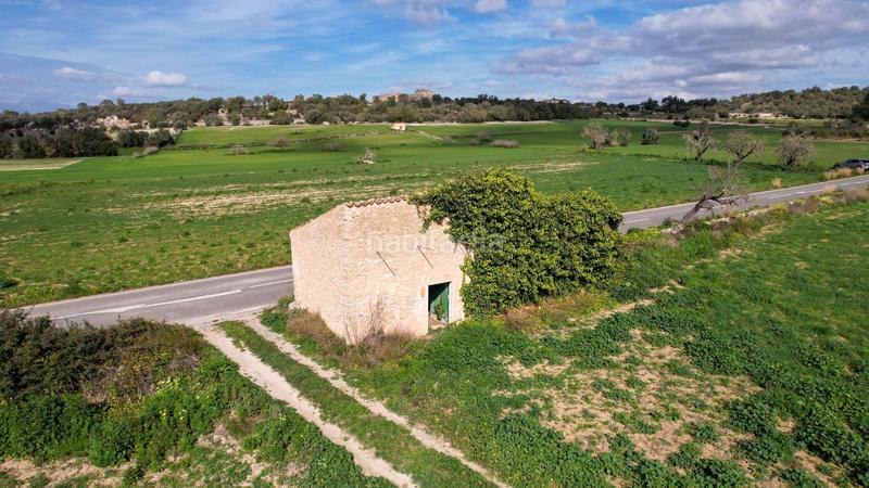Foto d9aec7c3-1bf4-4806-a41c-23904aa37496. Finca rústica terreno rústico en Algaida
