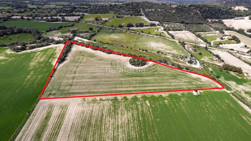 Foto 001f7c04-fa24-4f55-85a4-5ec29d9f4dfe. Terreny residencial a polígono poligono 5 parcela 92 a Maria de la Salut