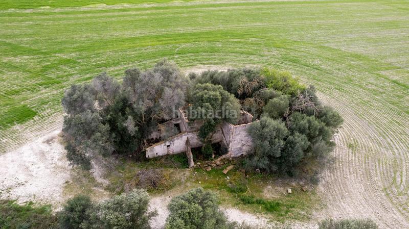 Foto 082543a3-a947-41cb-89c9-96791cb5bfac. Terreny residencial a polígono poligono 5 parcela 92 a Maria de la Salut