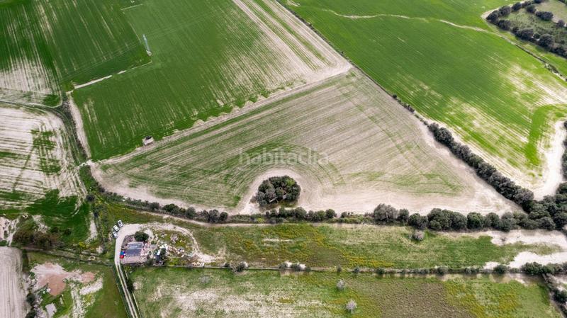 Foto 0e26fc0d-9e54-4914-b3ac-229353f09cad. Terreny residencial a polígono poligono 5 parcela 92 a Maria de la Salut