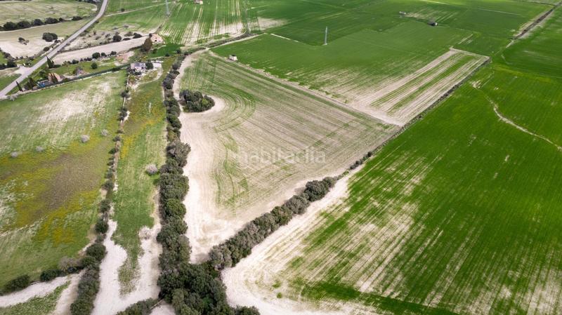 Foto 153906bc-20c7-4812-9cab-f8299e17c68f. Terreny residencial a polígono poligono 5 parcela 92 a Maria de la Salut