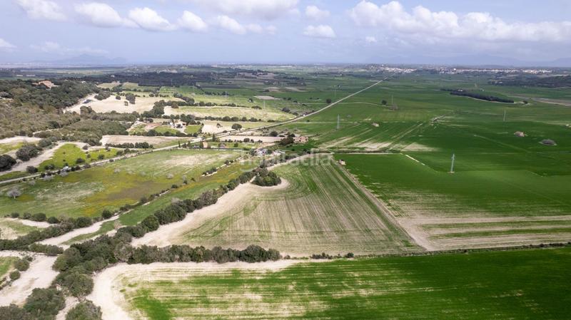 Foto 33f52867-6712-40a6-b659-b15b41f3ba1c. Terreny residencial a polígono poligono 5 parcela 92 a Maria de la Salut