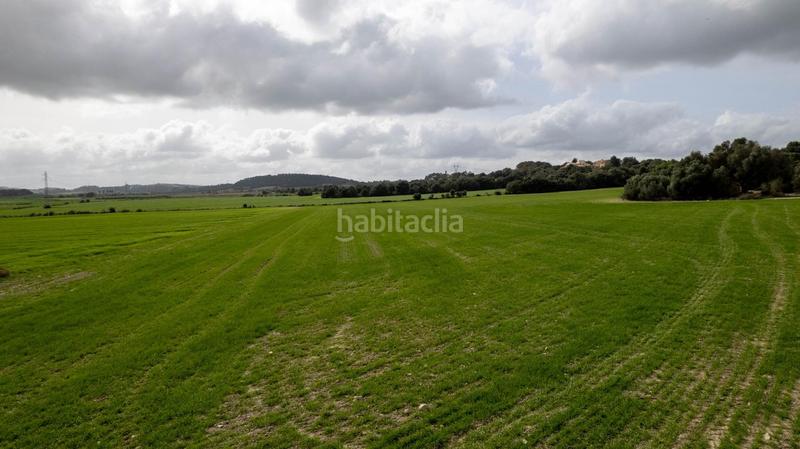 Foto 40af6461-2f88-403a-adc0-4378f0358edf. Terreny residencial a polígono poligono 5 parcela 92 a Maria de la Salut