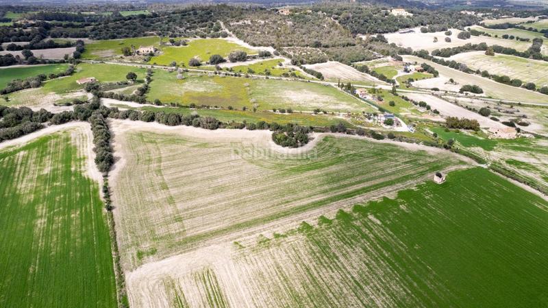 Foto 437711fb-9235-4101-b101-449eb34838f8. Terreny residencial a polígono poligono 5 parcela 92 a Maria de la Salut