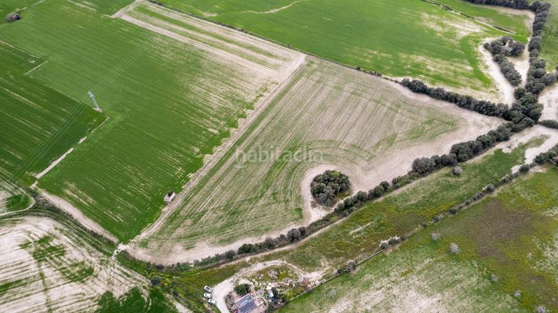 Foto 46021ec8-95a7-4e2e-a061-adc555187824. Terreny residencial a polígono poligono 5 parcela 92 a Maria de la Salut