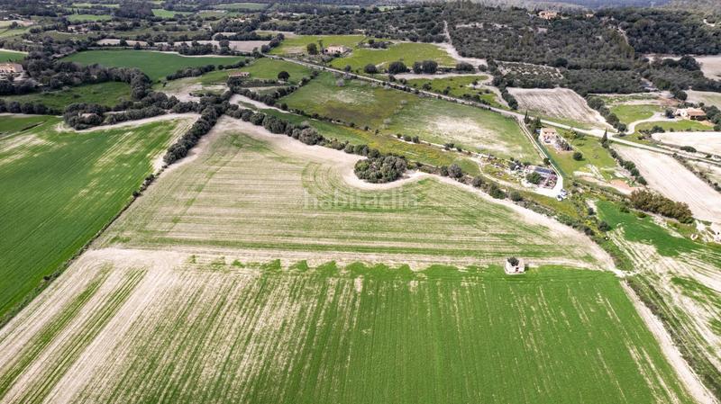 Foto 74c250db-29c7-45e7-928a-52b6af330953. Terreny residencial a polígono poligono 5 parcela 92 a Maria de la Salut