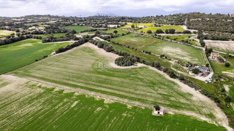 Foto 806d0a8d-aece-436e-a6da-8f1f85694784. Terreny residencial a polígono poligono 5 parcela 92 a Maria de la Salut