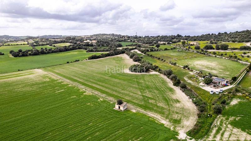 Foto 86488c25-961b-4194-af8b-84ccaeb9e341. Terreny residencial a polígono poligono 5 parcela 92 a Maria de la Salut