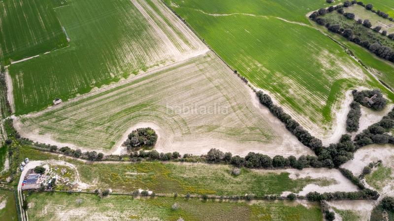 Foto 8ba56f20-ccaf-45cb-9338-ea9aae5f8d09. Terreny residencial a polígono poligono 5 parcela 92 a Maria de la Salut