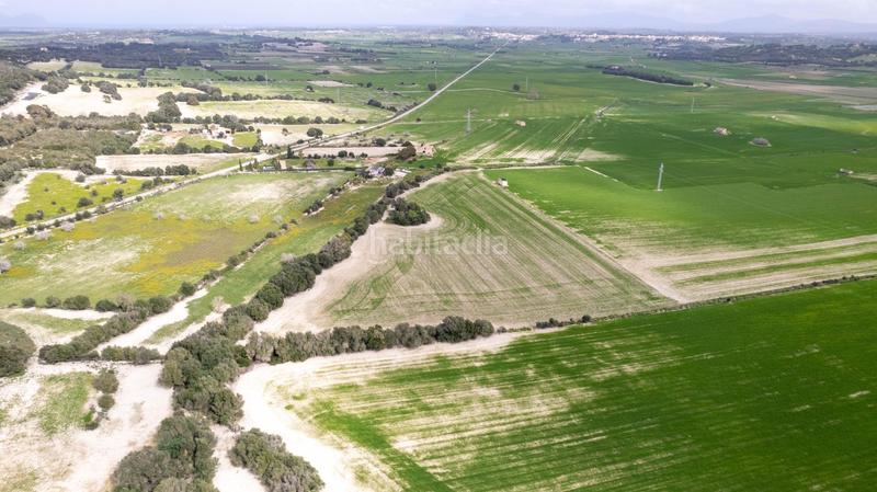 Foto a236561b-2a88-434d-bb19-47530c1f8ea0. Terreny residencial a polígono poligono 5 parcela 92 a Maria de la Salut