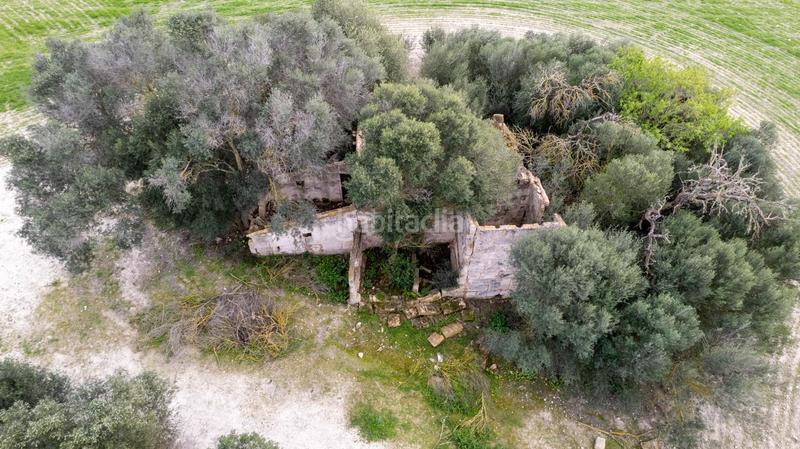 Foto a3af190b-4c5f-4a0c-9193-86c3df318e7d. Terreny residencial a polígono poligono 5 parcela 92 a Maria de la Salut