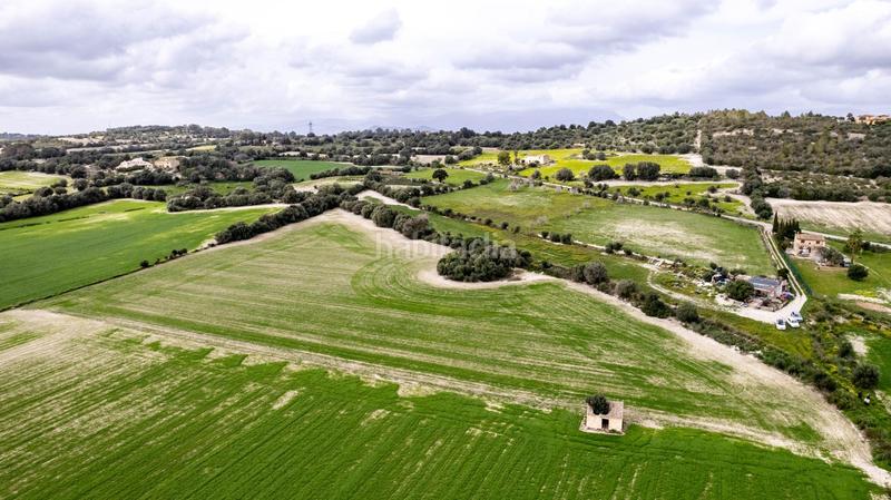 Foto aa0a5638-0930-42a3-8980-c41970b42fd7. Terreny residencial a polígono poligono 5 parcela 92 a Maria de la Salut