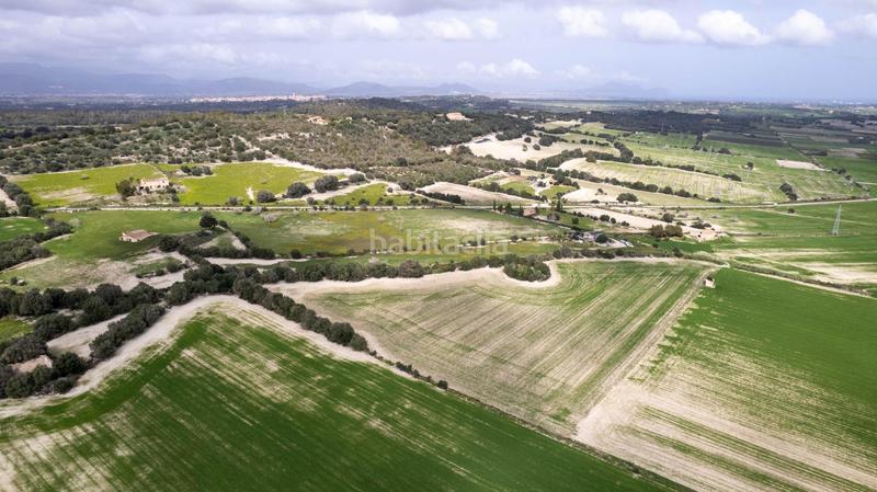 Foto bddd0aad-de48-404f-a40b-b1335bdaf5ca. Terreny residencial a polígono poligono 5 parcela 92 a Maria de la Salut