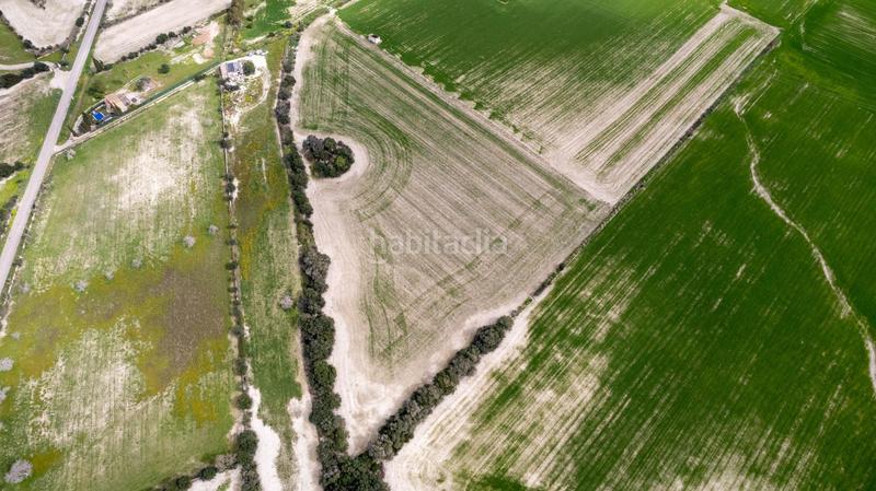 Foto c4c2f09b-5f94-43e3-90e4-50f59560d969. Terreny residencial a polígono poligono 5 parcela 92 a Maria de la Salut