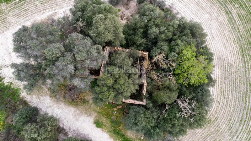 Foto da48a48a-59fd-4828-b4c4-8ac25f6c0825. Terreny residencial a polígono poligono 5 parcela 92 a Maria de la Salut